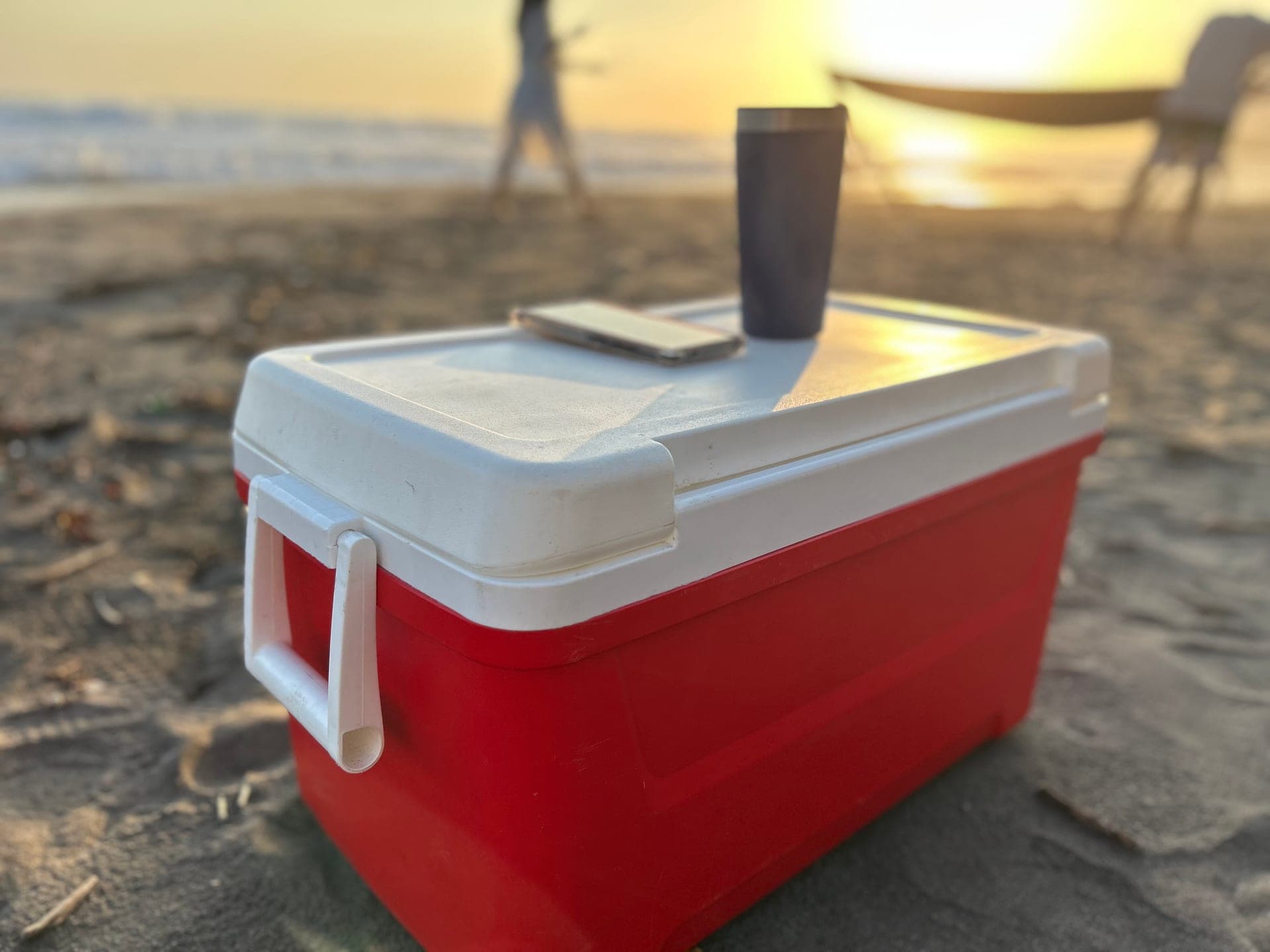 Hielera Térmica Portátil - imagen 1